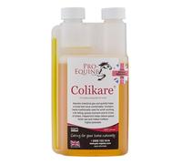 Pro-Equine Colikare Horse coliques supplément. Doucement sida Soulagement des symptômes des coliques de chevaux, Il aide à réduire le souffle gênant. Soulage les crampes d'estomac.