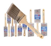 Pro Grade - Lot de 10 pinceaux de Peinture d'angle variés