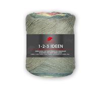 PRO LANA 1-2-3 Idées 15 - Reseda/Camel