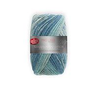 Pro Lana Fjord Socks Couleur 196 Laine à tricoter Motif norvégien 100 g 400 m