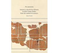 Pro memoria. Intonaci e stucchi da Altinum Località Campo Rialto. Note dal cantiere di restauro