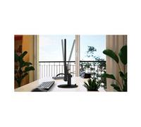 PRO MP252L - Ecran LED - 25" (24.5" visualisable) - 1920 x 1080 Full HD (1080p) @ 100 Hz - IPS - 250 cd/m² - 1300:1 - 1 ms - HDMI, DisplayPort