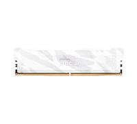 Pro OC - DDR5 - module - 16 Go - DIMM 288 broches - 6400 MT/s / PC5-51200 - CL32 - 1.35 V - mémoire sans tampon - blanc renard des neiges