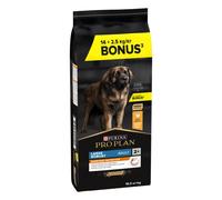 Pro Plan Everyday Nutrition Adult Large Robust Croquettes Pour Chiens 14kg