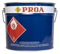 ProA ih100 V couvre-tache ciment des murs eau, 10 L