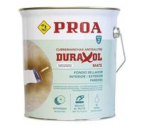 ProA ih100t couvre-tache ciment des murs eau, 4 L