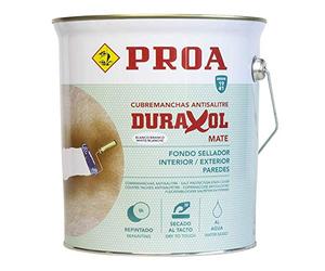 ProA ih100t couvre-tache ciment des murs eau, 4 L