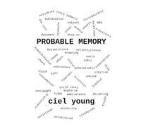 PROBABLE MEMORY: a novel