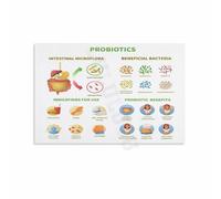 Probiotics and Your Health Science Poster Educational Canvas Wall-Art About Gut Flora for Home Decor Living Room Bedroom(Framed,16x24inch(40x60cm))