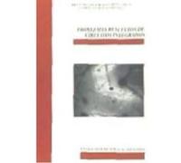 Problemas Resueltos De Circuitos Integrados - González Cañete, Francisco Javier. Valencia Miranda, Gabriel. González Cañete, Francisco Javier Valencia Miranda, Gabriel (Auteur)