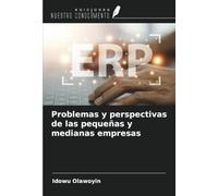 Problemas y perspectivas de las pequeñas y medianas empresas