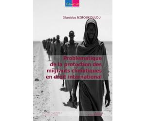 Problématique de la protection des migrants climatiques en droit international