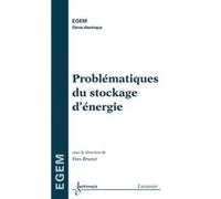 Problématiques du stockage d'énergie Yves BRUNET (Auteur)
