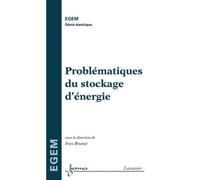Problématiques du stockage d'énergie - Yves BRUNET - Hermes Science Publications - broché - Livre