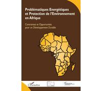 Problématiques Energétiques et Protection de l'Environnement en Afrique Contraintes et Opportunités pour un Développement Durable - René Nganou Koutouzi - L'harmattan - broché - Etude