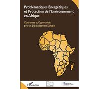 Problématiques Energétiques et Protection de l'Environnement en Afrique: Contraintes et Opportunités pour un Développement Durable