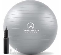 ProBody Pilates Ballon d'exercice - qualité Professionnelle Yoga Anti-éclatement de Fitness équilibre Balle 65 cm Argent