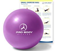 ProBody Pilates Mini Balle d'exercice Douce de 9 Pouces pour stabilité, Barre, abdominaux, cœur, physiothérapie et thérapie Physique à la Maison, Salle de Sport et Bureau (Violet)