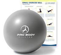 ProBody Pilates Mini Balle d'exercice Douce de 9 Pouces pour stabilité, Barre, abdominaux, cœur, physiothérapie et thérapie Physique à la Maison, Salle de Sport et Bureau (Argent)