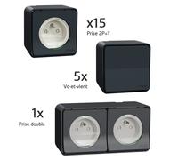 Probox Mureva 15 PC + 5 VV + 1 PC double - SCHNEIDER -PFRB13