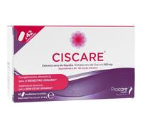 Procare Health Ciscare Extrait de Busserole 42comp