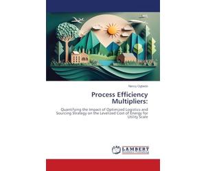 Process Efficiency Multipliers:: Quantifying the Impact of Optimized Logistics and Sourcing Strategy on the Levelized Cost of Energy for Utility Scale
