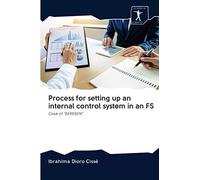 Process For Setting Up An Internal Control System In An Fs