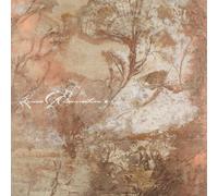 Process Of Elimination