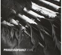 Process of guilt - Faemin [Import]