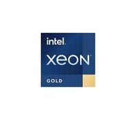 Intel Processeur Xeon Gold 6342 - 2,8 GHz - 24 cœurs / 48 fils - 36 Mo de cache - LGA4189 - OEM