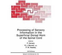 Processing of Sensory Information in the Superficial Dorsal Horn of the Spinal Cord Processing of Sensory Information in the Superficial Dorsal Horn of the Spinal Cord (Auteur)