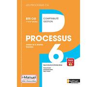 Processus 6 - Analyse de la situation financière - BTS CG 1re et 2e années - Coll. Les processus CG