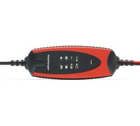 ProCharger Chargeur de batterie avec option PROCHARGER 1.000