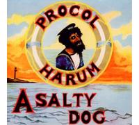 tonpool Medien – Salty Dog
