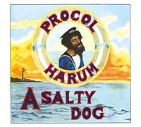 PROCOL HARUM - A SALTY DOG VINYL LP NEUF
