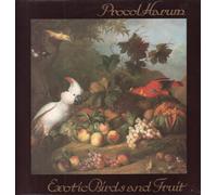 PROCOL HARUM - exotic birds & fruit LP