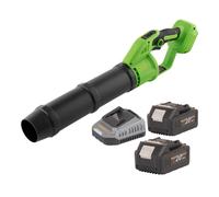 Procraft PB24b Souffleur de feuilles sans fil 20 V Brushless + 2x batterie 4,0 Ah + chargeur