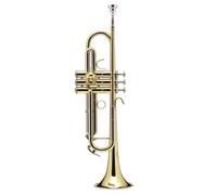 Prodige Sib Vernie (Branche Inversée) - BS210LR-1-0