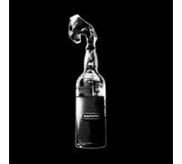 Prodigy,the - Firestarter-Andy C Remix