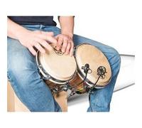 PL21 Salmieri Percussions