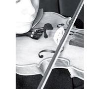 VL21C Lanen Violon - Alto