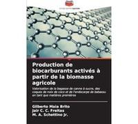 Production de biocarburants activs partir de la biomasse agricole - Gilberto Maia Brito - KS OmniScriptum Publishing - Livre en Anglais Gilberto Maia BritoGilberto Maia Brito (Auteur)