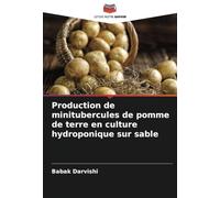 Production de minitubercules de pomme de terre en culture hydroponique sur sable
