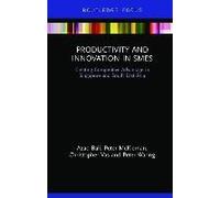 Productivity And Innovation In Smes