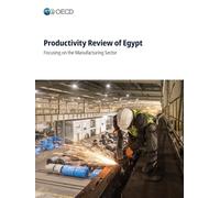 Productivity Review of Egypt