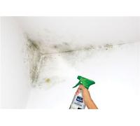 Produit anti-moisissures Rip etanch, incolore 0.5 l