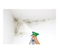 Produit anti-moisissures Rip etanch, RIPOLIN incolore 0.5 l G