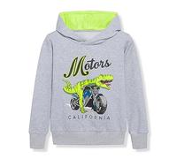 Produit Catégorie Boys Hoodies & Sweatshirts - Pulls à Capuche Garçon Dinosaure | Doudous et Sweatshirts Enfants Bland Les | Version Confortable et pour Tenues 5 à Ans (Grey, 6-7 Years) #59