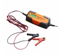Proenerg - PRO 40A, Chargeur Electronique 6/12V, 4A
