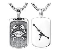 PROESS Collier signe du zodiaque en argent sterling 925 12 constellations pendentif horoscope astrologie colliers signe du zodiaque bijoux cadeaux pour femmes hommes, Argent sterling